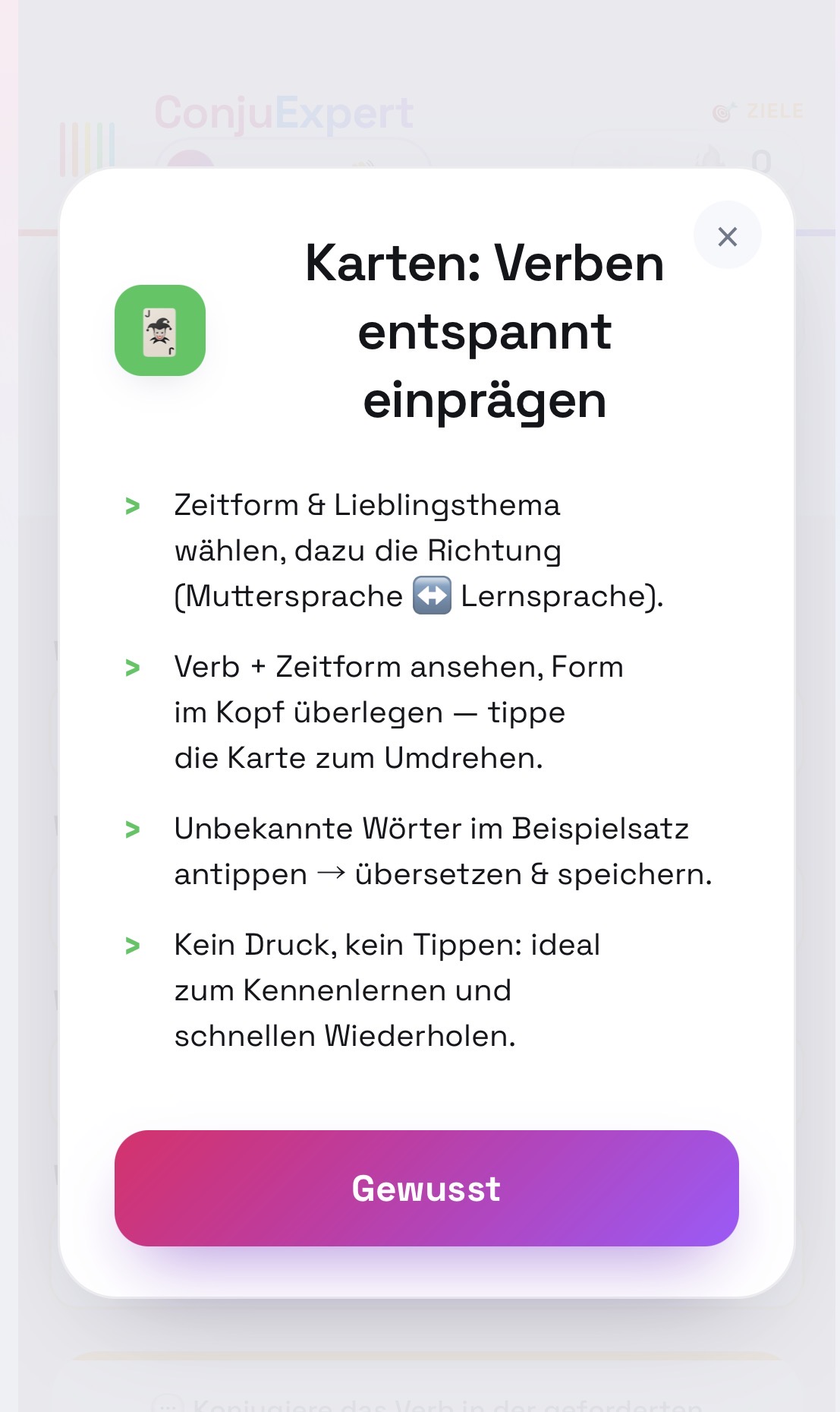 ConjuExpert Karten-Quiz: Erklärung in drei Schritten beim ersten Start